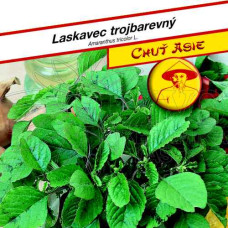 Laskavec trojbarevný GREEN LEAF VEGETABLE